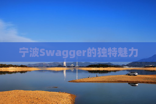 宁波Swagger的独特魅力